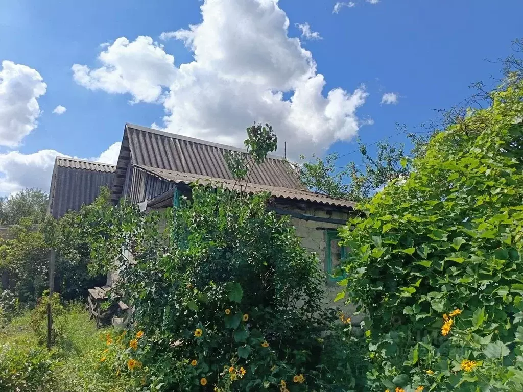 Дом в Липецкая область, Липецк Авторемонтник СТ, 2-я линия (30 м) - Фото 1