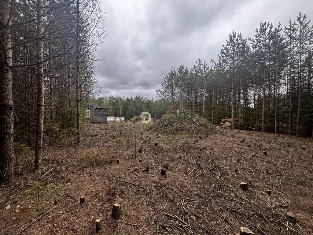 Участок в Кировская область, Слободской район, Шиховское с/пос, д. ... - Фото 2