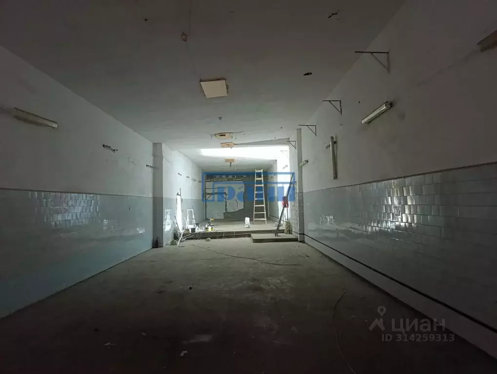 Помещение свободного назначения в Курская область, Курск ул. Гайдара, ... - Фото 1