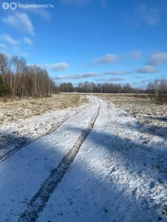 Участок в Тарский район, Заливинское сельское поселение, деревня ... - Фото 1