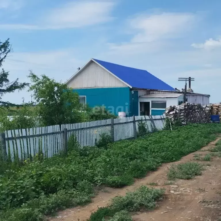 Дом в Омская область, Шербакульский район, с. Борисовское  (67 м) - Фото 0