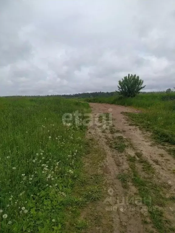 Участок в Вологодская область, д. Сорошнево (Сосновский сельсовет)  ... - Фото 2