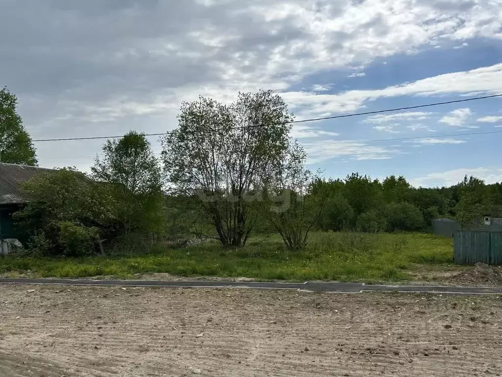 Участок в Владимирская область, Гусь-Хрустальный район, Анопино ... - Фото 1