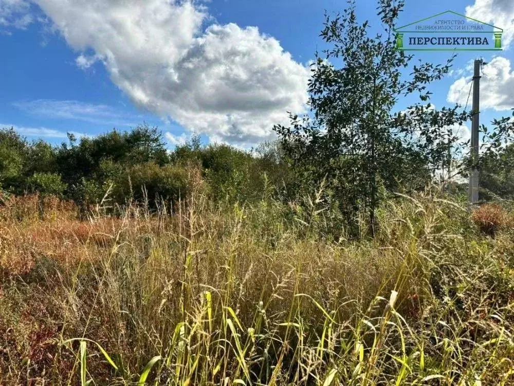 Участок в Приморский край, Артемовский городской округ, с. Ясное ул. ... - Фото 1