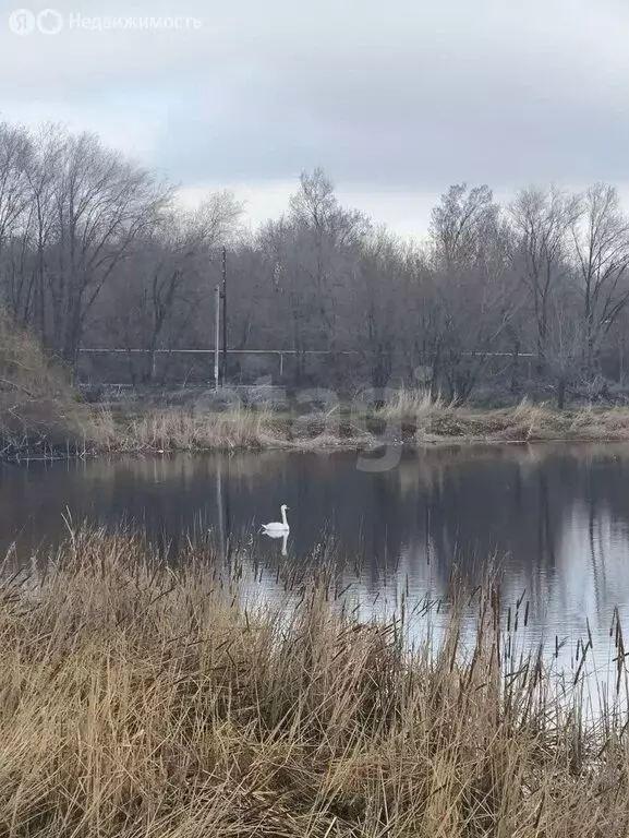 Участок в Саратов, 1-й Назаровский проезд, 17 (6 м) - Фото 2