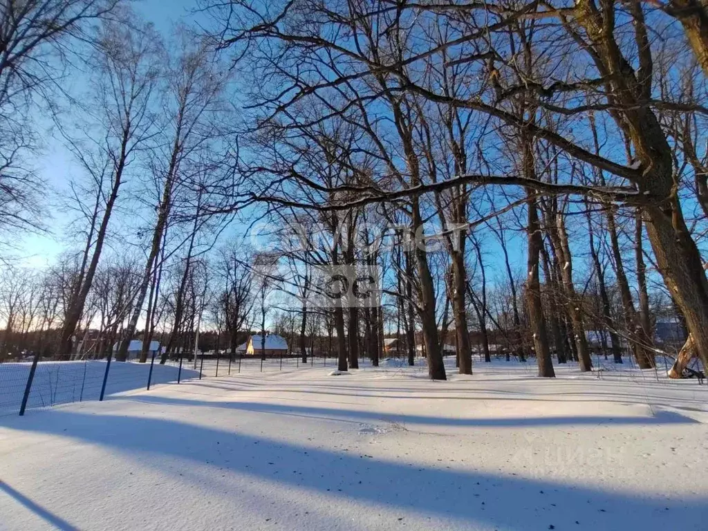 Участок в Калужская область, Дзержинский муниципальный округ, Льва ... - Фото 2