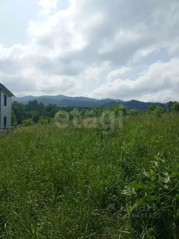 Участок в Алтайский край, Алтайский район, с. Алтайское ул. Зеленая ... - Фото 1