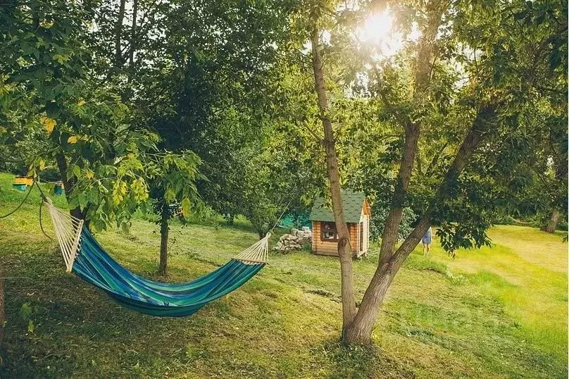 Дом в Алтайский край, Белокуриха Проходная ул., 38 (200 м) - Фото 2