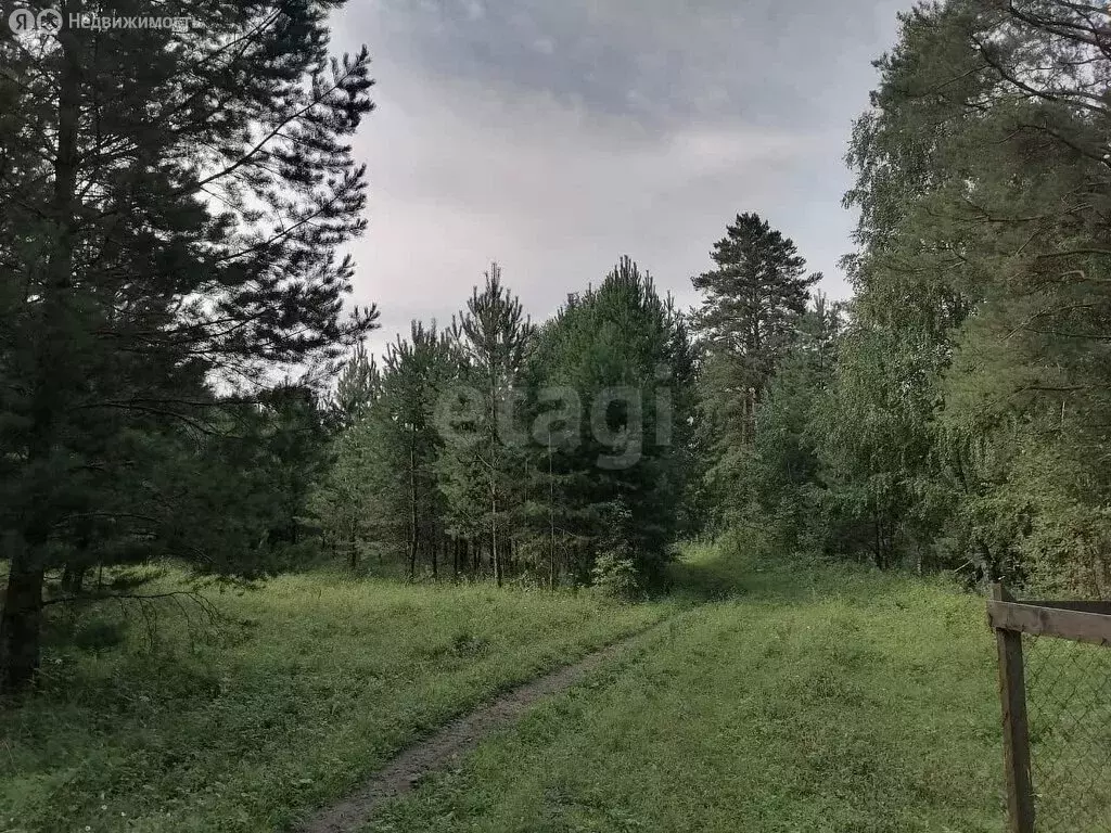 Участок в Чемальский район, Узнезинское сельское поселение, село ... - Фото 1