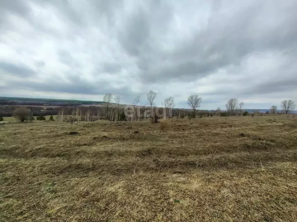 Участок в Башкортостан, Гафурийский район, Красноусольский сельсовет, ... - Фото 1
