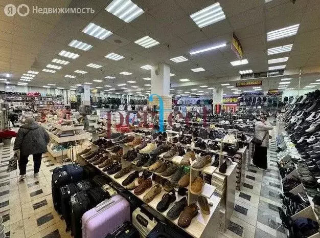 Помещение свободного назначения (558.2 м) - Фото 1
