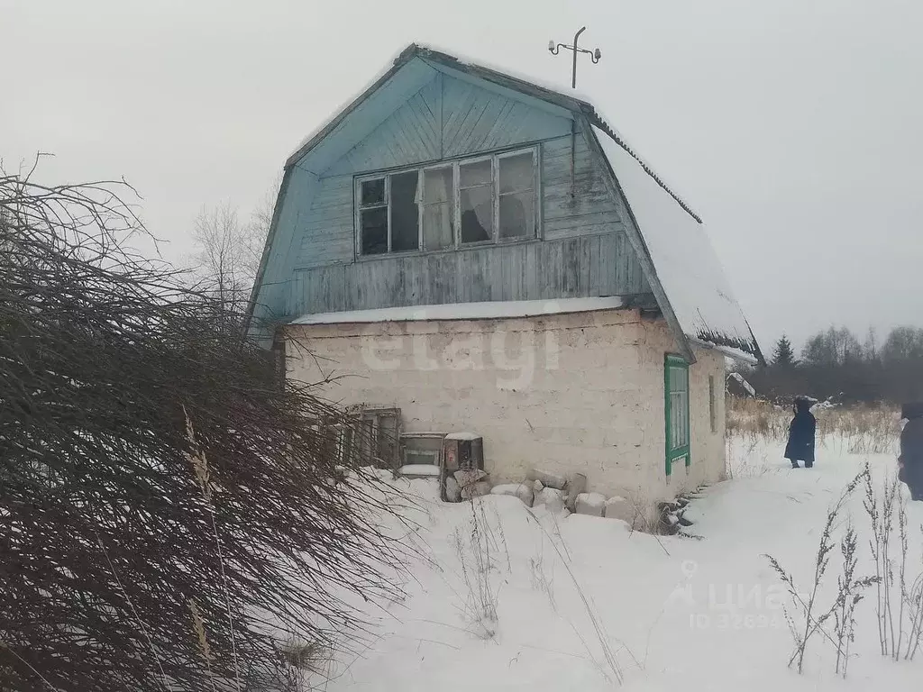 Участок в Псковская область, Островский район, Бережанская волость, ... - Фото 2