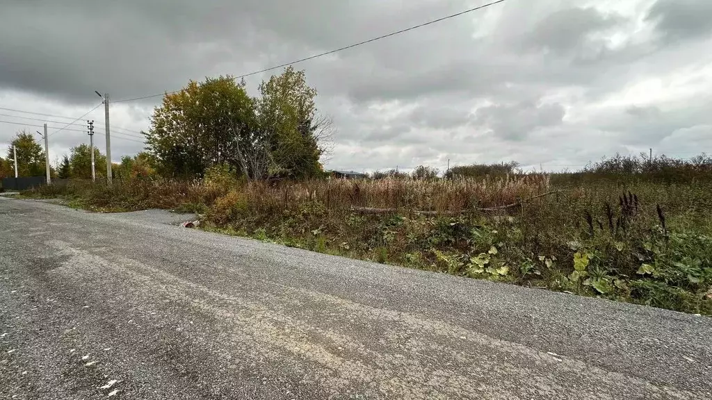 Участок в Пермский край, Пермский муниципальный округ, д. Мостовая ... - Фото 2