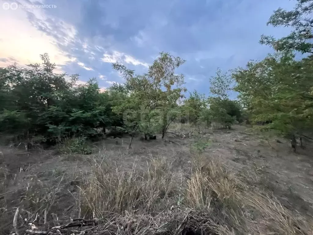 Дом в Кулешовка, Пролетарская улица (95 м) - Фото 2