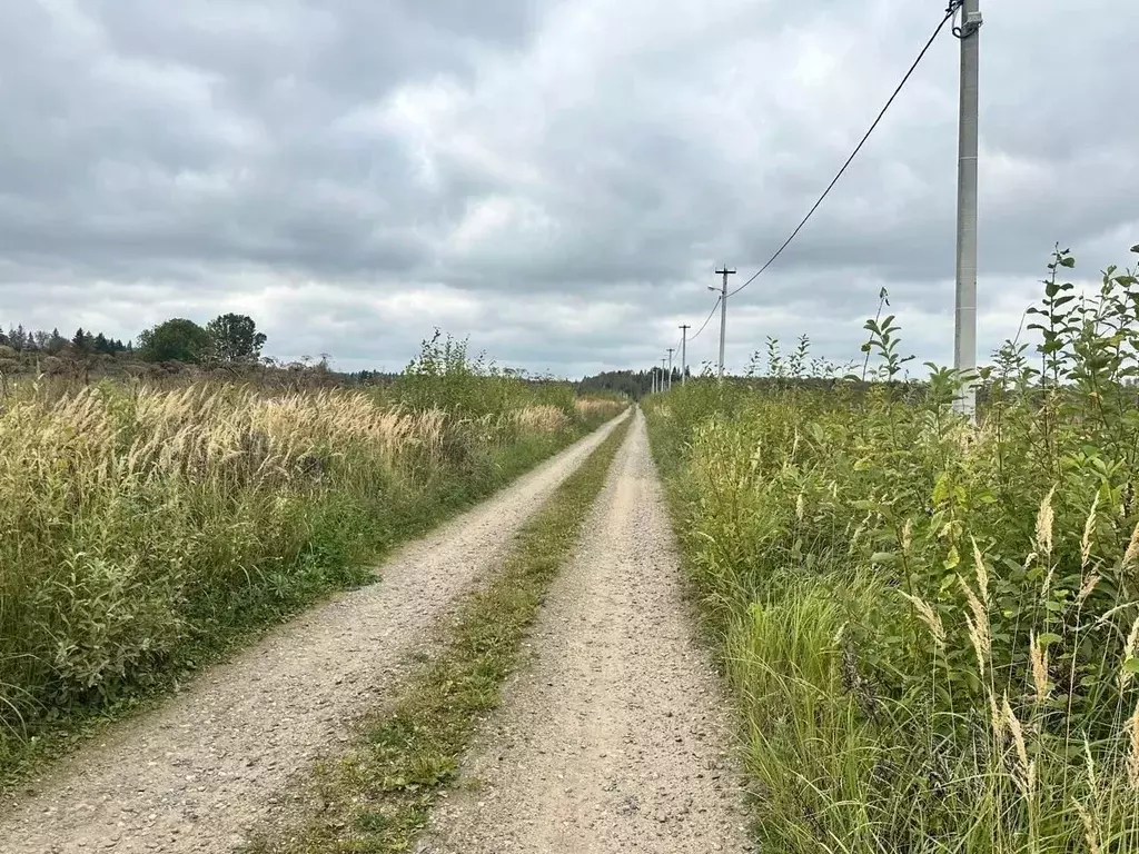 Участок в Московская область, Клин городской округ, д. Савино  (10.0 ... - Фото 1
