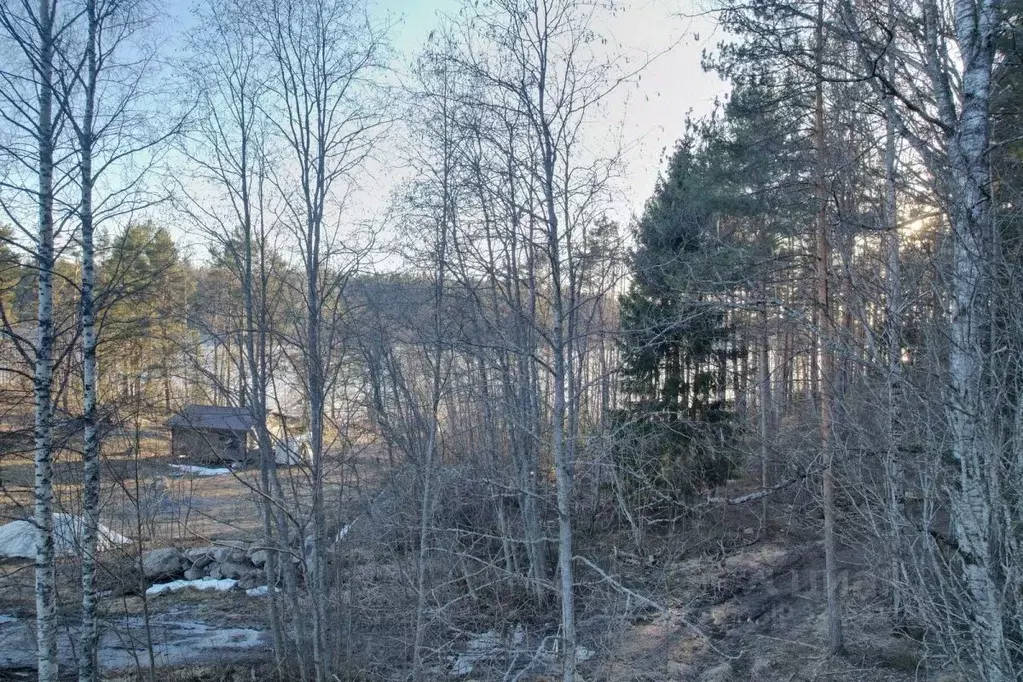 Участок в Карелия, Лахденпохский муниципальный округ, пос. Терваярви ... - Фото 2