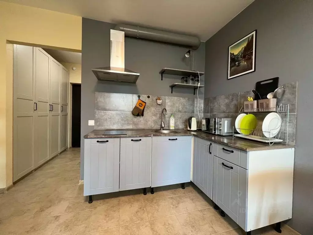 Студия Санкт-Петербург пос. Шушары, просп. Новгородский, 4 (27.2 м) - Фото 0