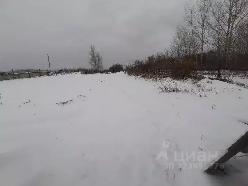 Участок в Алтайский край, Барнаул городской округ, с. Гоньба ул. ... - Фото 1