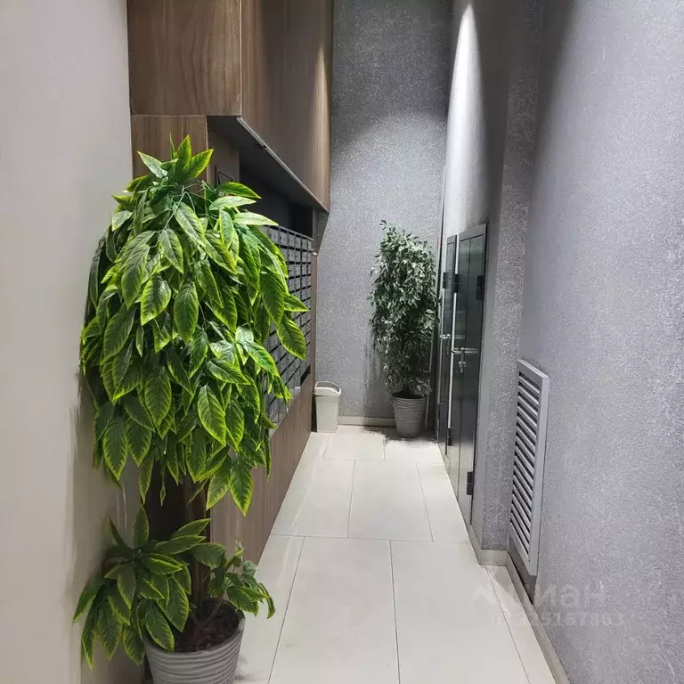 Комната Москва Рябиновая ул., 3к2 - Фото 2