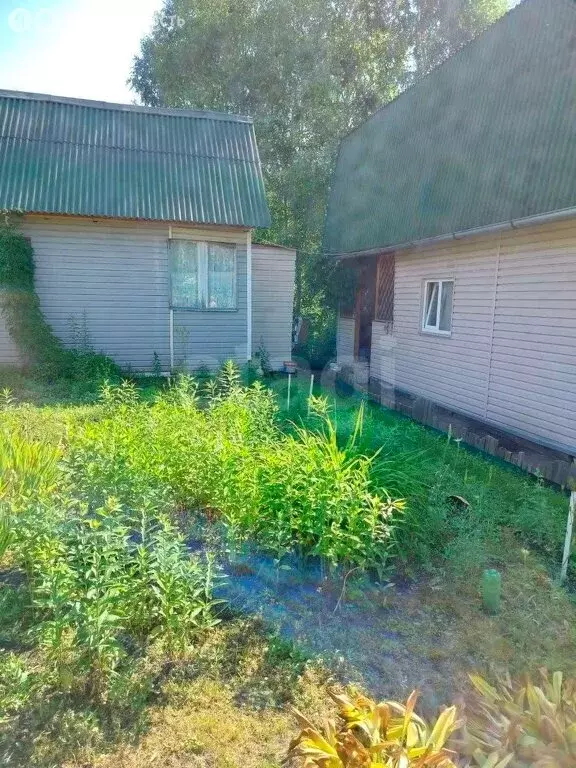 Дом в Бердск, СНТ Родник 2 (70 м) - Фото 0