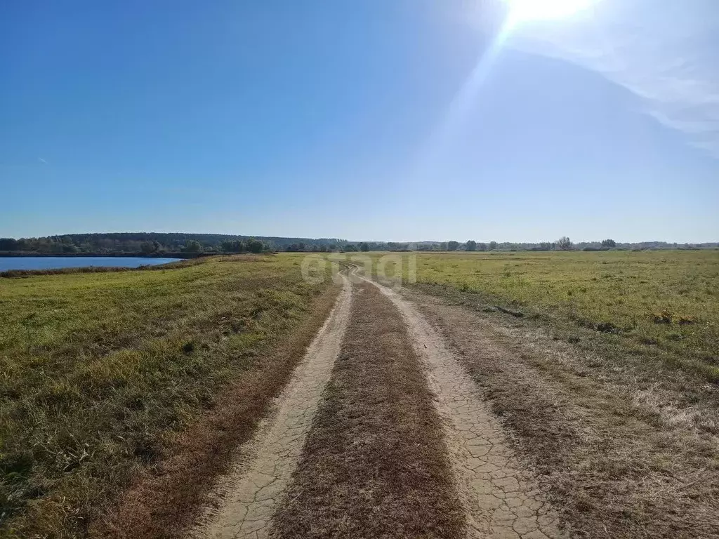 Участок в Нижегородская область, Выкса городской округ, Шиморское рп  ... - Фото 1