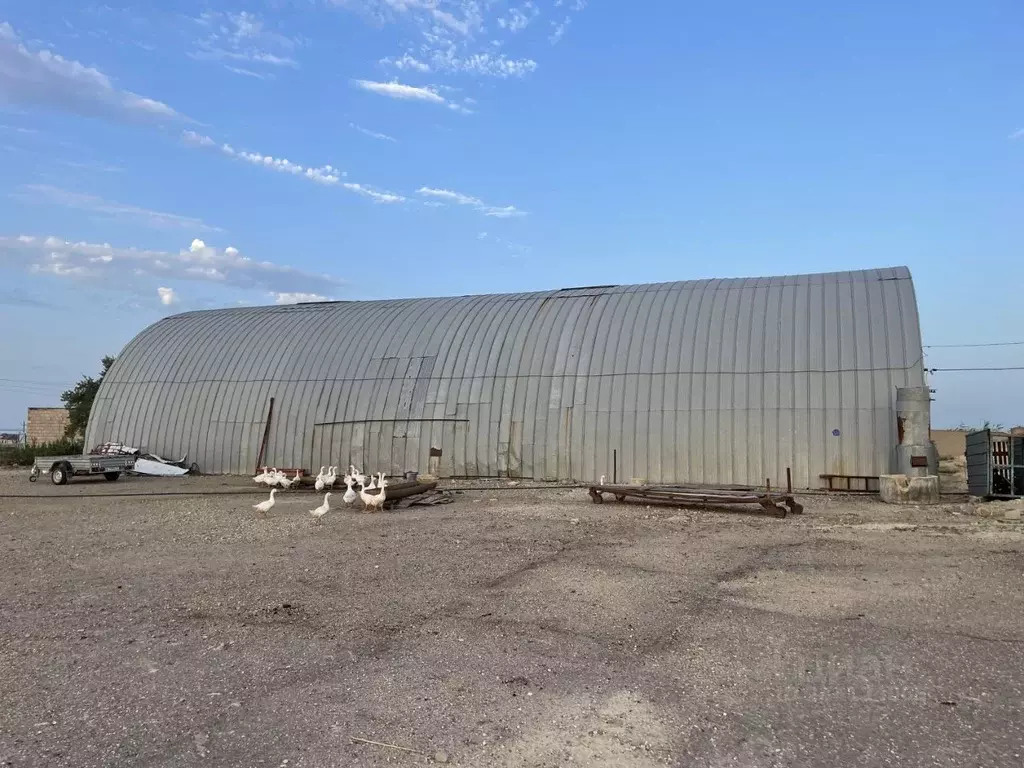 Помещение свободного назначения в Краснодарский край, Темрюк пер. ... - Фото 2