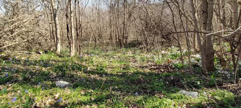 Участок в Крым, Феодосия муниципальный округ, с. Краснокаменка ул. ... - Фото 2