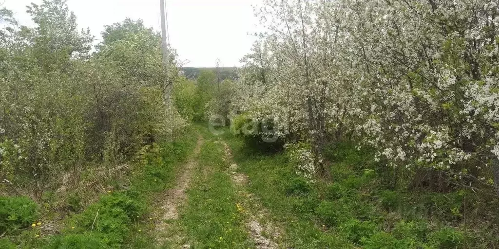 Участок в Мордовия, Саранск Обновление СТ,  (6.92 сот.) - Фото 0