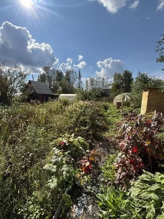 Участок в Свердловская область, Нижний Тагил УВЗ № 7 КС,  (5.8 сот.) - Фото 2