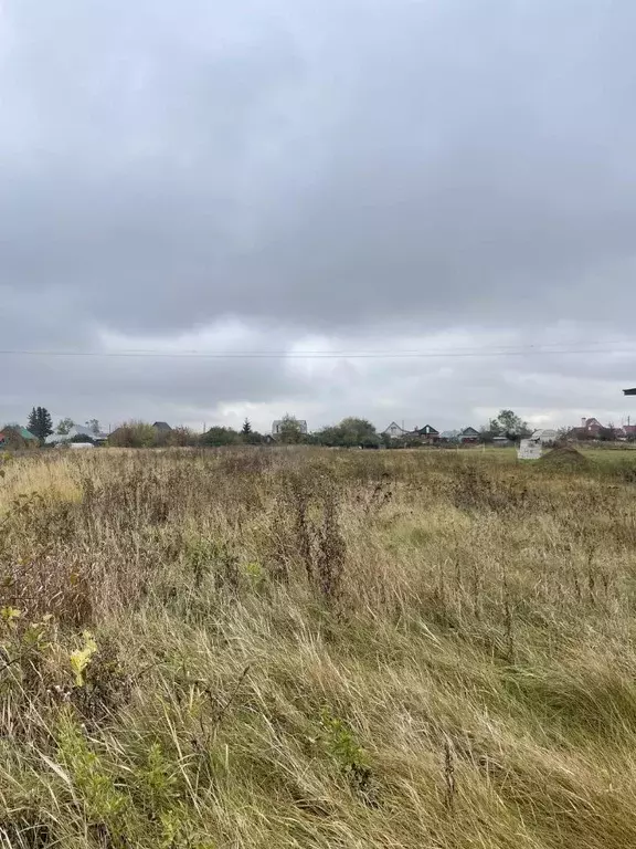 Участок в Тамбовская область, Тамбов городской округ, с. Бокино ул. ... - Фото 1