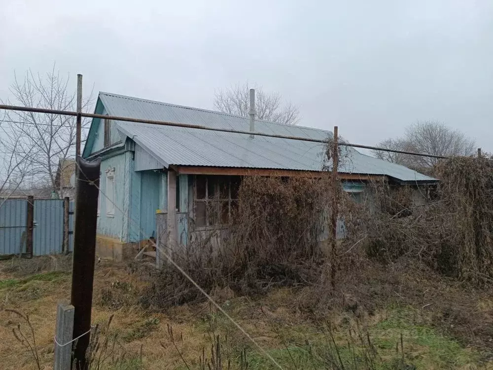 Дом в Оренбургская область, с. Илек ул. Илекская, 11 (50 м) - Фото 2