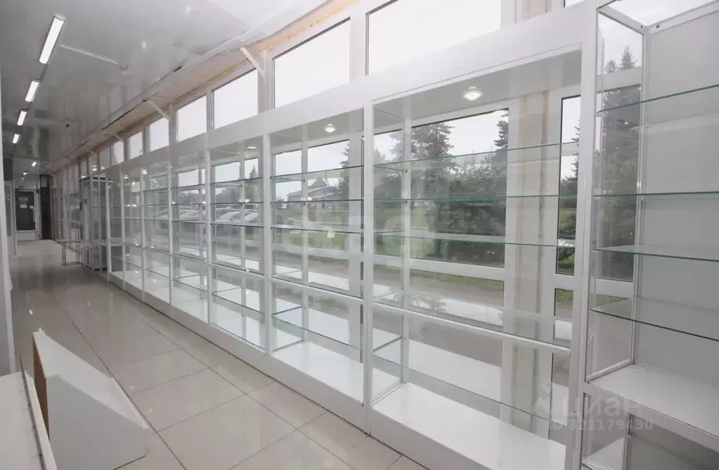 Торговая площадь в Вологодская область, Шексна рп, Шексна Южная мкр ... - Фото 1