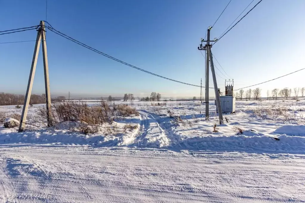 Участок в Новосибирская область, Искитимский район, Совхозный ... - Фото 1