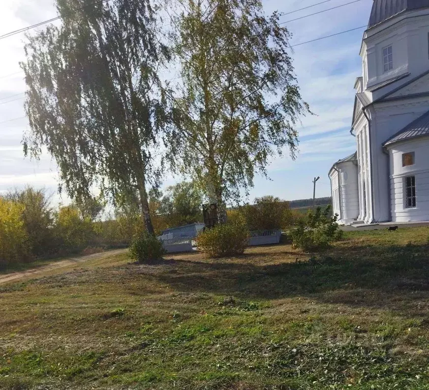 Дом в Нижегородская область, Арзамас городской округ, с. Степаново ул. ... - Фото 2