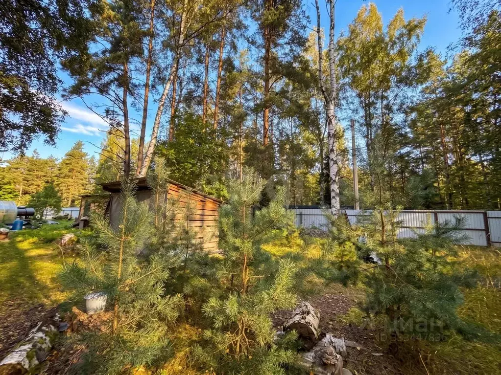 Участок в Санкт-Петербург пос. Парголово, Песочное ш. (17.0 сот.) - Фото 1