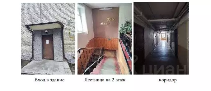 Помещение свободного назначения в Пермский край, Пермь ул. Сергея ... - Фото 1