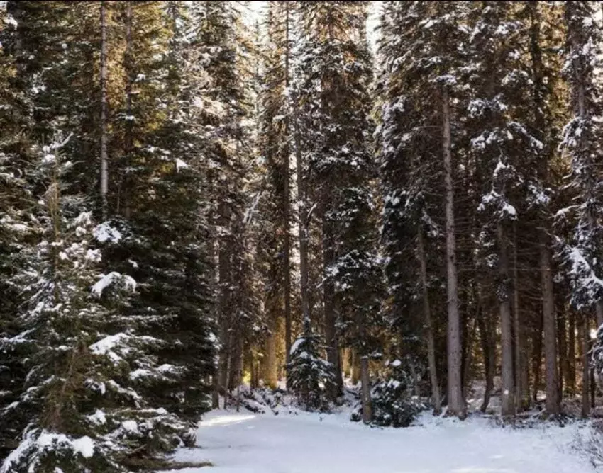Коттедж в Московская область, Дмитров Советская пл. (61 м) - Фото 1