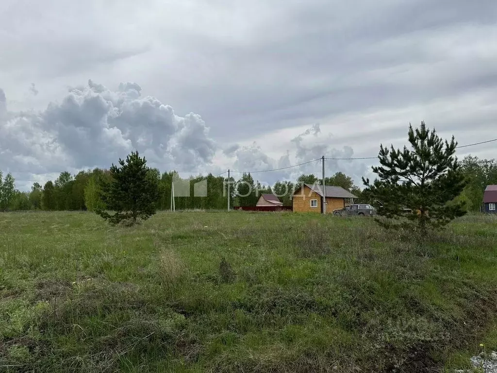 Участок в Новосибирская область, Искитимский район, Быстровский ... - Фото 2