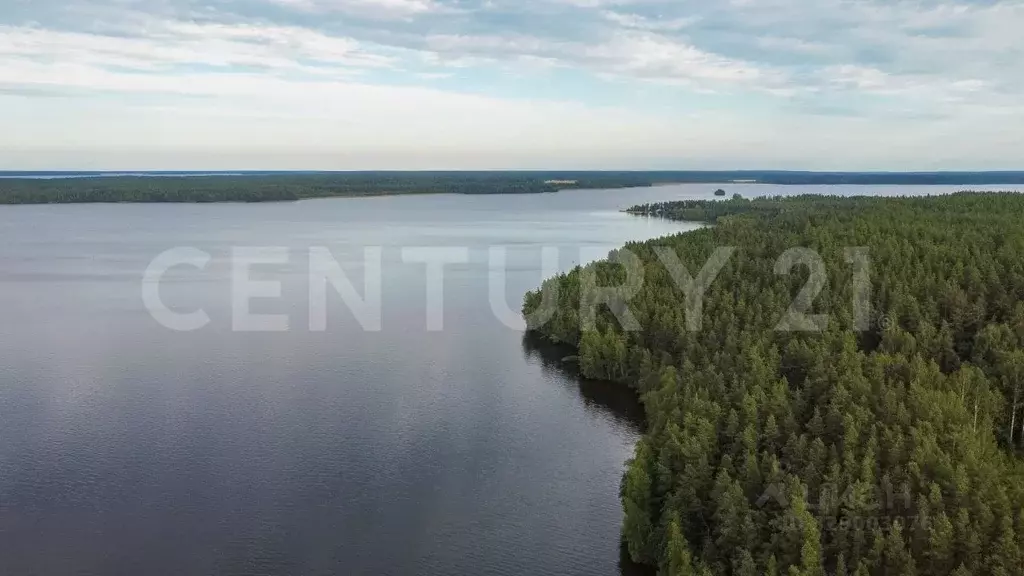 Участок в Ленинградская область, Приозерский район, Громовское с/пос, ... - Фото 1