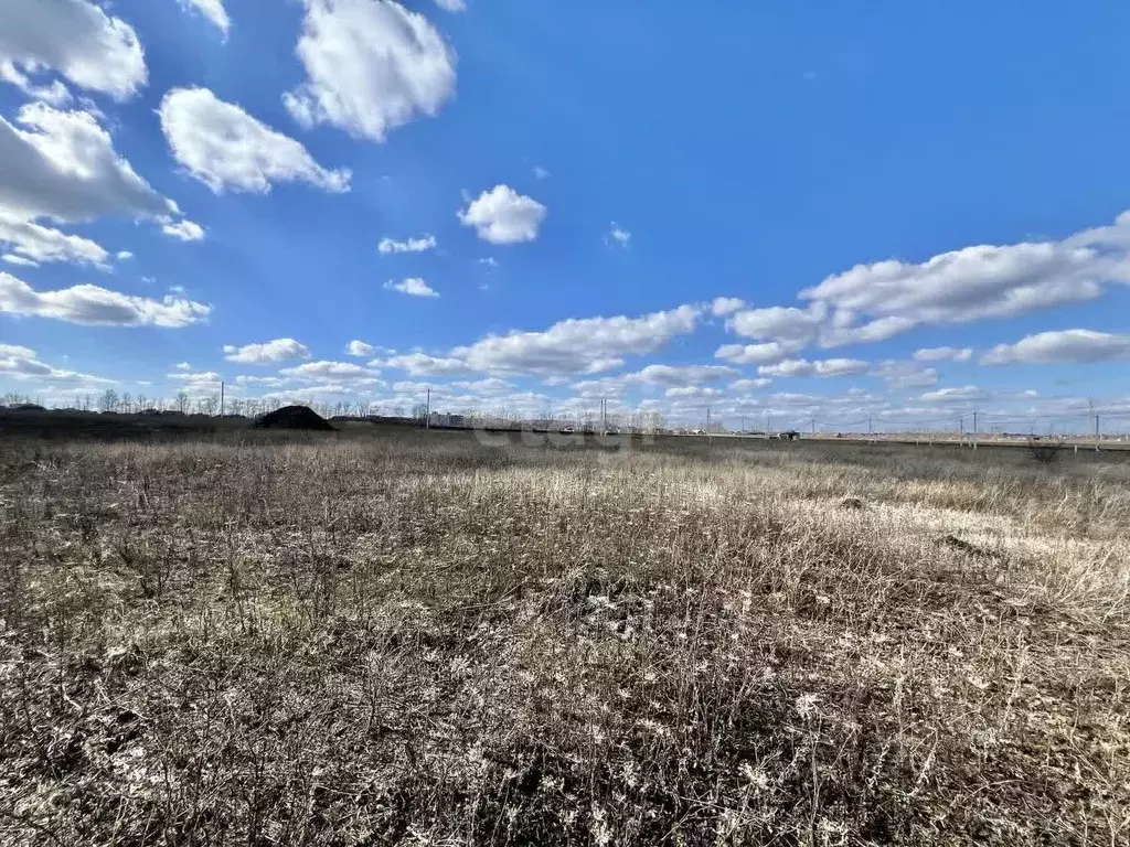 Участок в Белгородская область, Строитель Яковлевский городской округ, ... - Фото 1