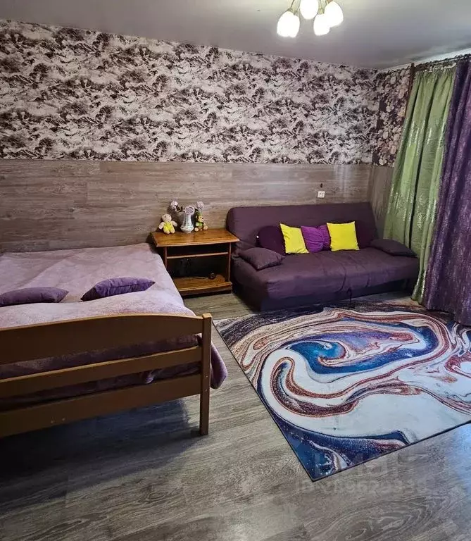 Студия Карелия, Петрозаводск Лососинское ш., 21к9 (30.0 м) - Фото 0
