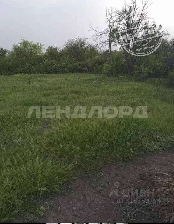 Участок в Ростовская область, Октябрьский район, Красюковская сл. ... - Фото 0