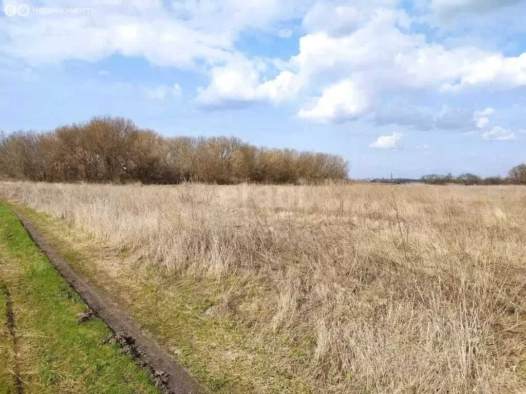 Участок в село Девица, КП Поречье-2 (10 м) - Фото 1