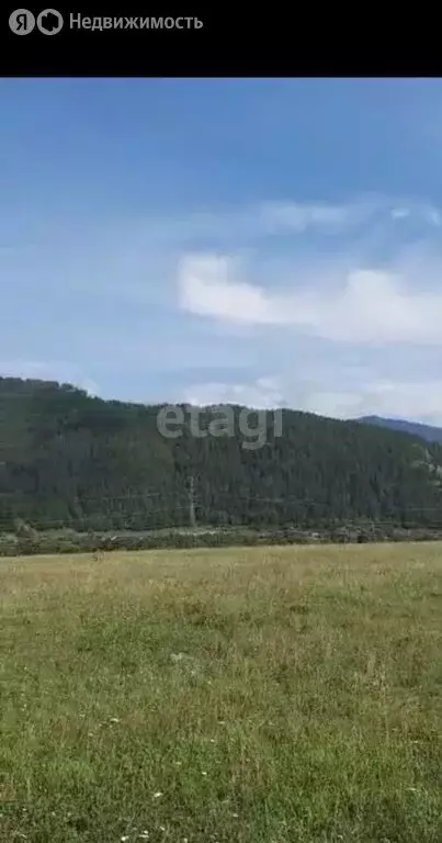 Участок в Чемальский район, село Анос (50 м) - Фото 2