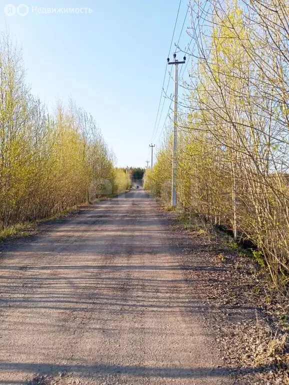 Участок в Колтушское городское поселение, коттеджный посёлок Солнечная ... - Фото 1
