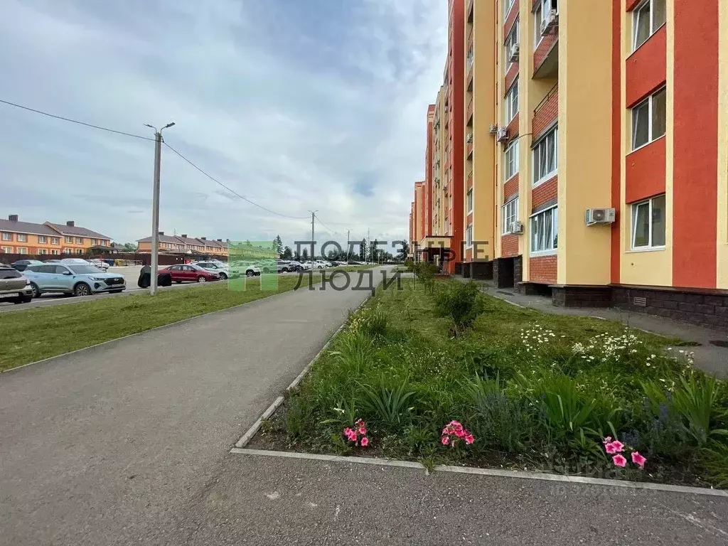 Студия Башкортостан, Уфимский район, с. Михайловка ул. Сливовая, 2/1 ... - Фото 1
