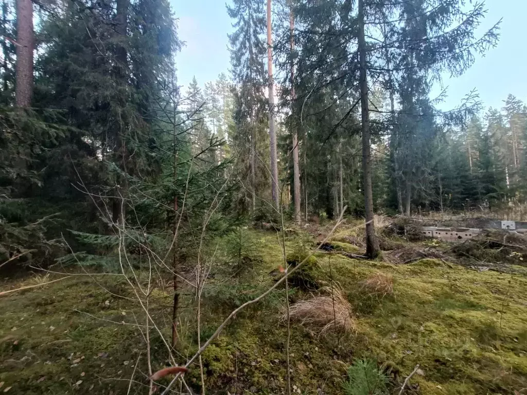 Участок в Ленинградская область, Гатчинский район, Вырица городской ... - Фото 0