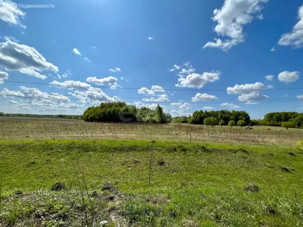 Участок в Киреевский район, сельское поселение Бородинское, село ... - Фото 0