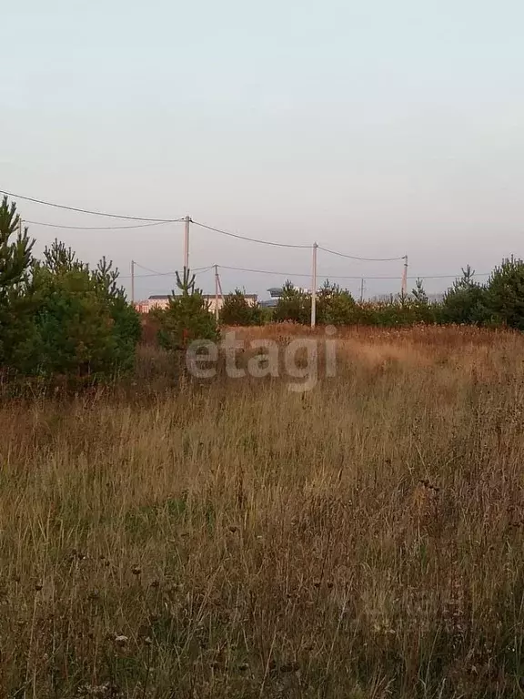 Участок в Курганская область, Шадринский муниципальный округ, с. Ключи ... - Фото 0
