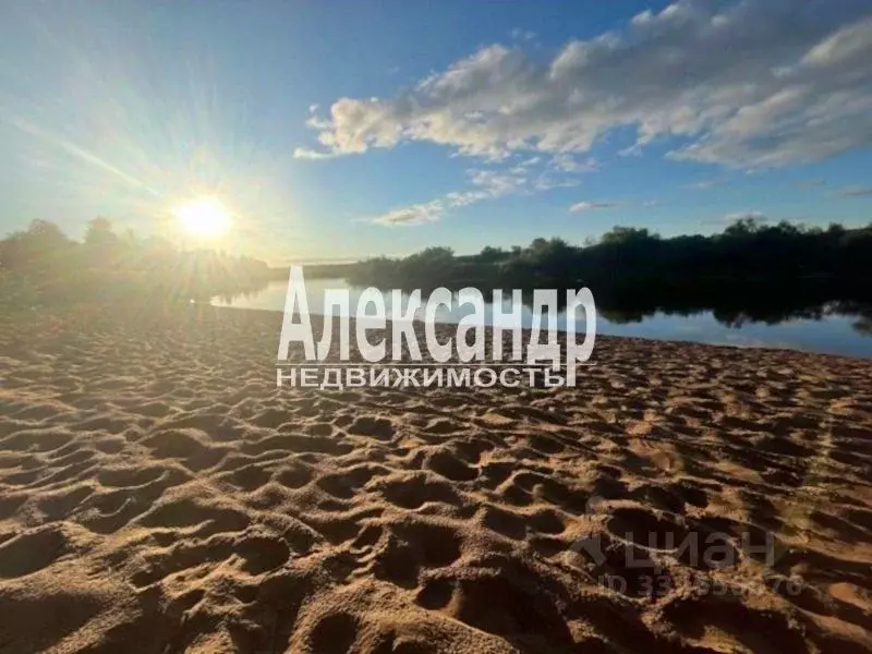 Участок в Ленинградская область, Лужский район, Толмачево городской ... - Фото 1